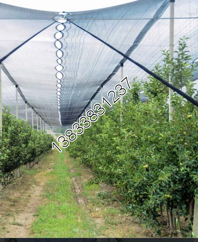 果树防冰雹网